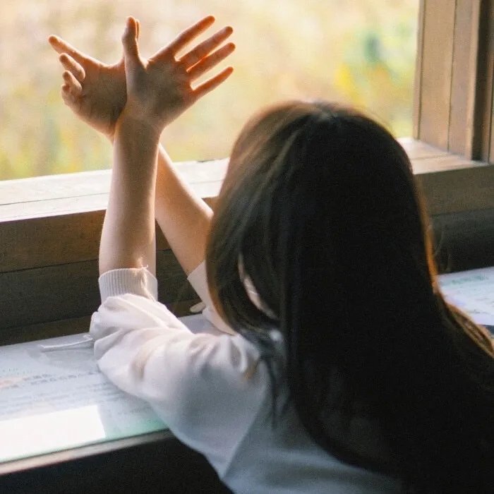 timelesz：选秀计划